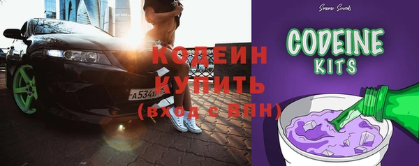 спайс Каменка
