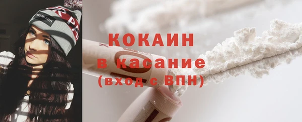 спайс Каменка