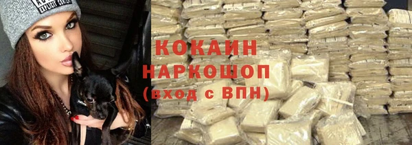 спайс Каменка