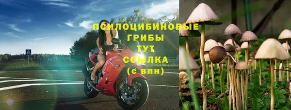 MDMA Premium VHQ Карталы