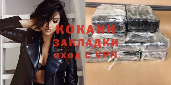 спайс Каменка