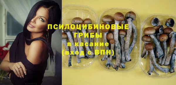 MDMA Premium VHQ Карталы